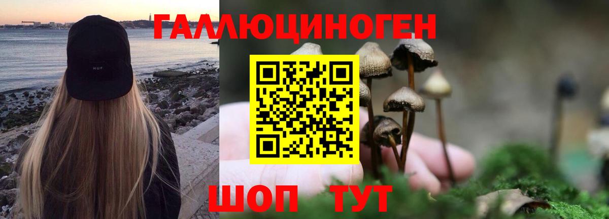 закладки  Псилоцибиновые грибы Cubensis  Вход с VPN  Галлюциногенные грибы прущие грибы  Ростов-на-Дону 